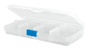 Small Divided Storage Case